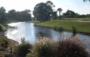 Golf course and .water view from a Calusa Lakes residence